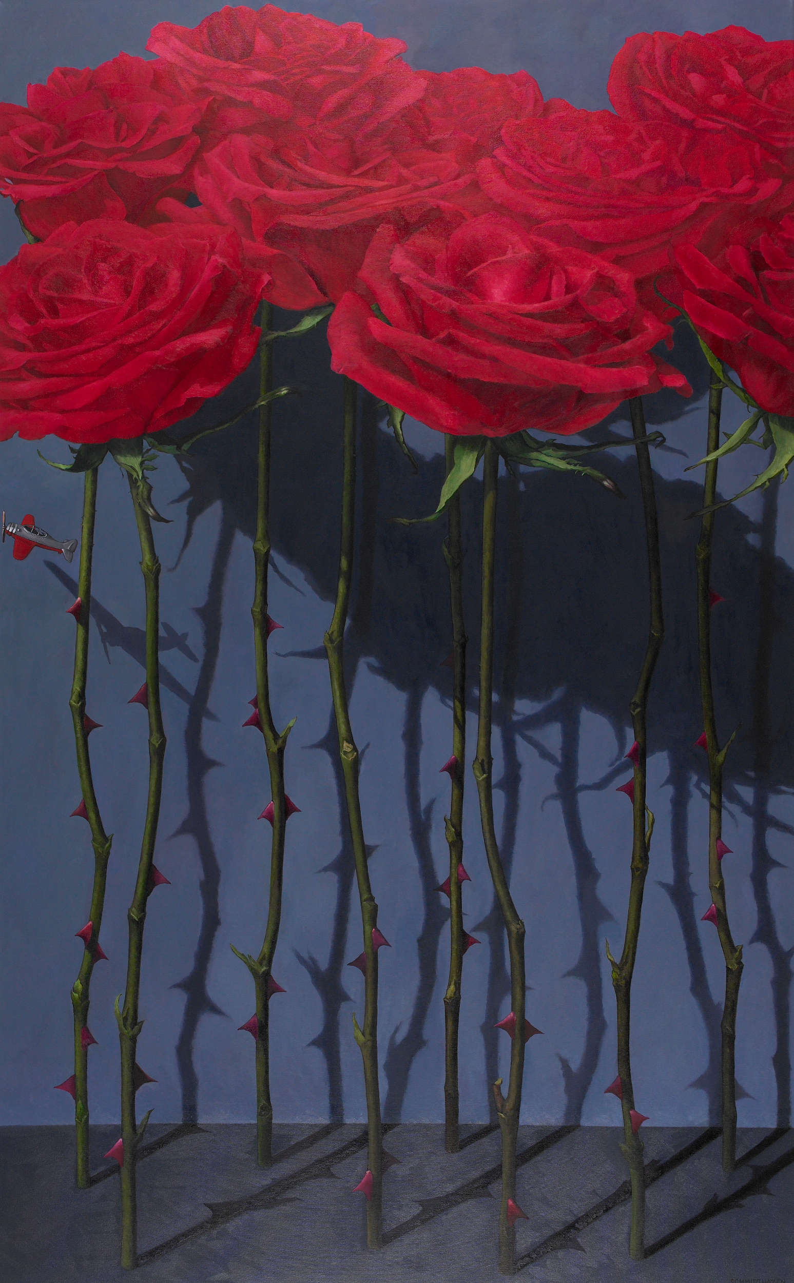 Pink roses standing, stems and thorns, dark gray background with shadows, tiny silver airplanes flying