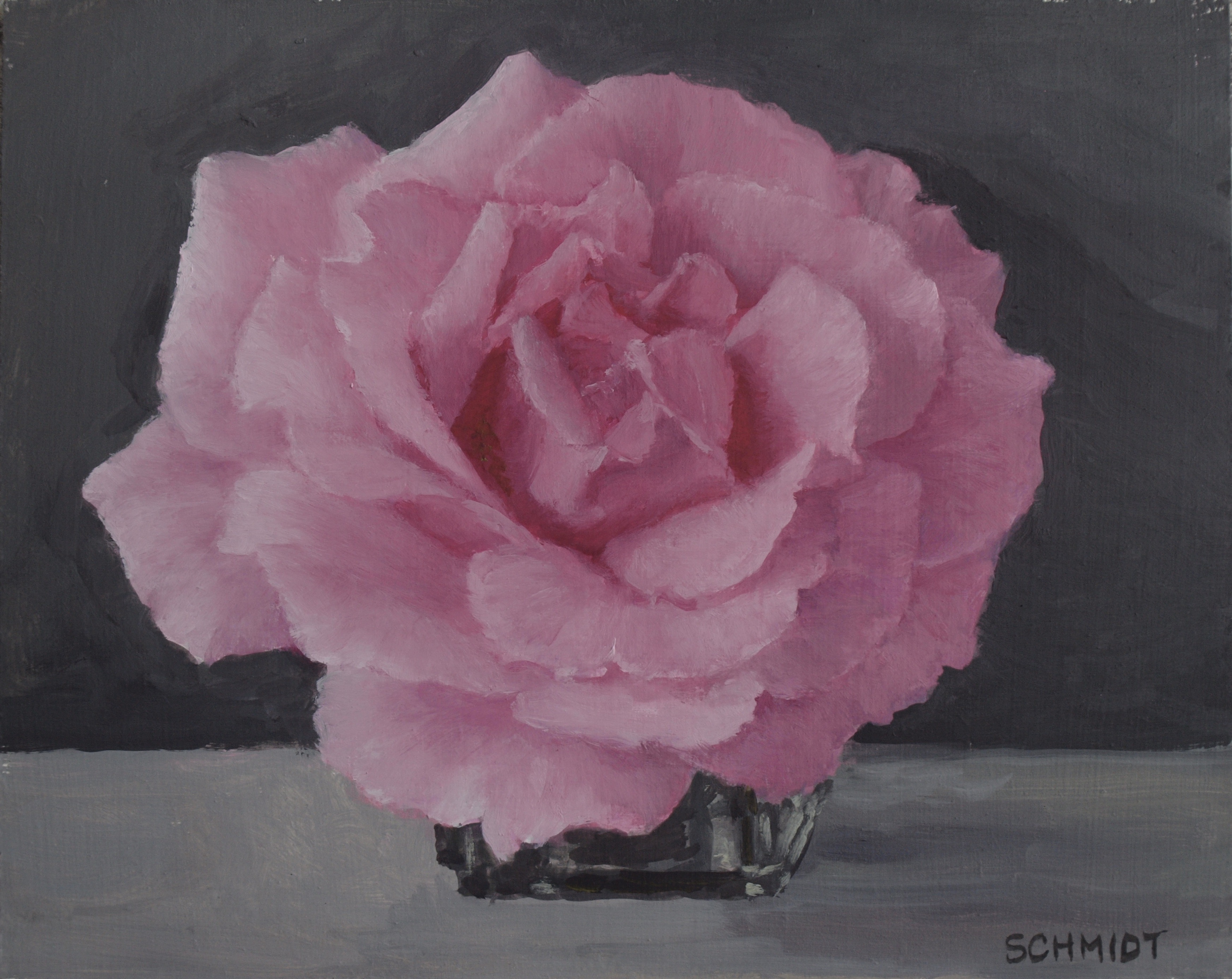 Pink echisada in square bottle gray background