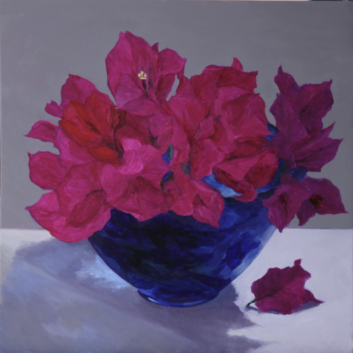bougainvilleas in blue glass bowl